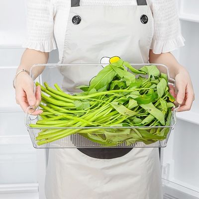 食品 保存 パッケージ フリジューター 引き出し オーガナイザー 広形 プラスチック キッチン コンテナ